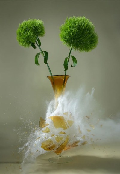 Martin Klimas, Dianthus Barbatus, 2008