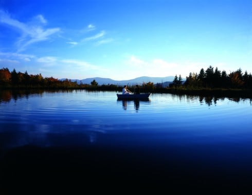 Echo, 2004 40 x 50 in.&nbsp;