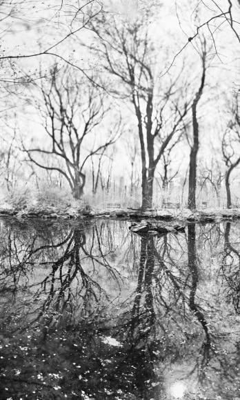 Jeff Chien-Hsing Liao, Rain Water, 2015