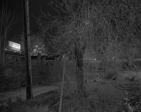 Wild Naturally, 2005