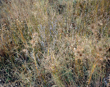 Balaclava 1854, The Valley of Death, 2008