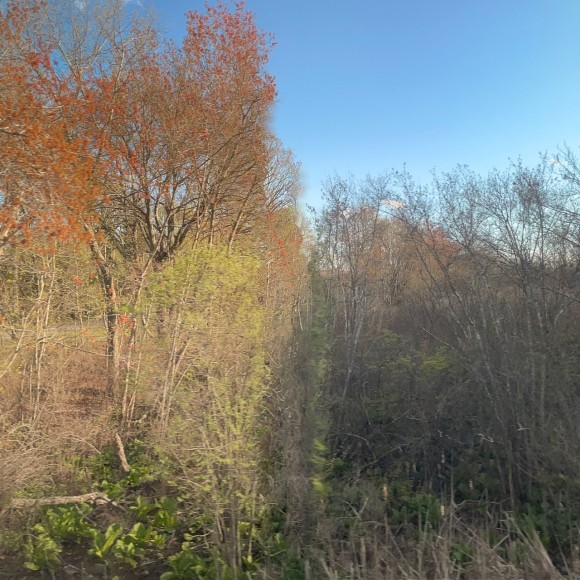 Claude De Backer, Whimpers and Screams #7, 2023