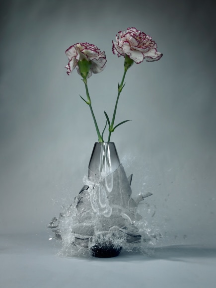 Martin Klimas, Diantus II, 2009