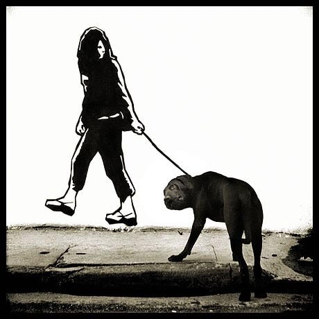 Alexandre Orion, Metabiotica 6, 2003