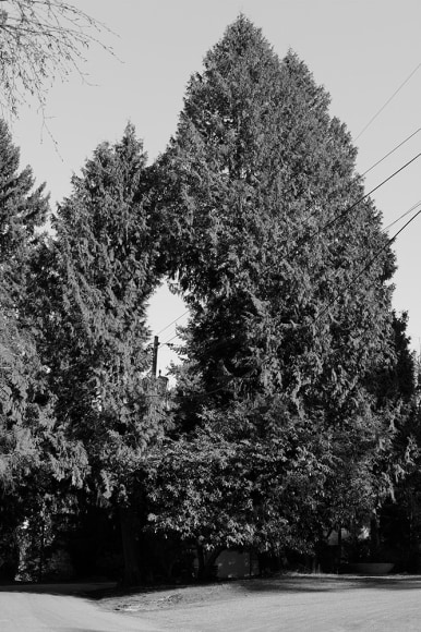 Jon Feinstein, Untitled, from the series Breathers, 2018