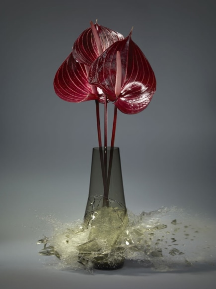 Martin Klimas, Anthurium II, 2019