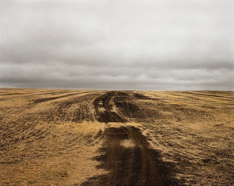 Kursk 1943, Prokhorovka, Hill 226.6, 2008