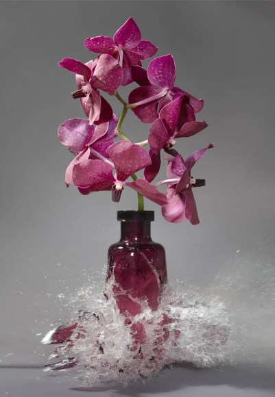 Martin Klimas, Vanda, 2016