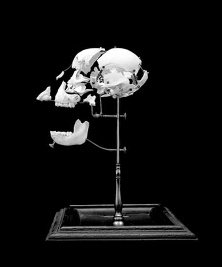 Ape, 2004 24 x 20 inch Pigment Print