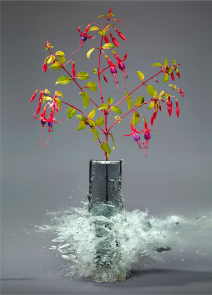 Martin Klimas, Fuchsia, 2018