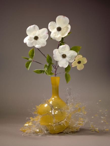 Martin Klimas, Cornus, 2019