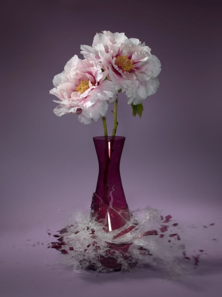 Martin Klimas, Paeonia VI, 2019