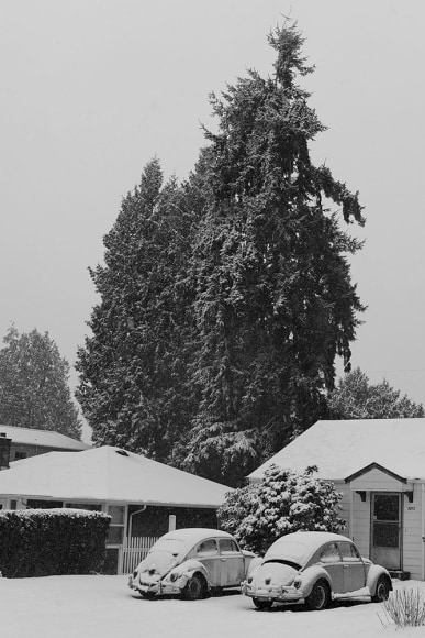 Jon Feinstein, Untitled, from the series Breathers, 2019