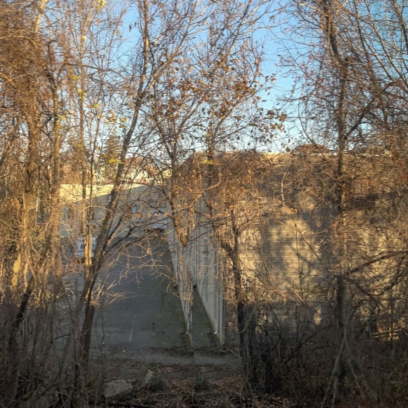 Claude De Backer, Whimpers and Screams #6, 2023