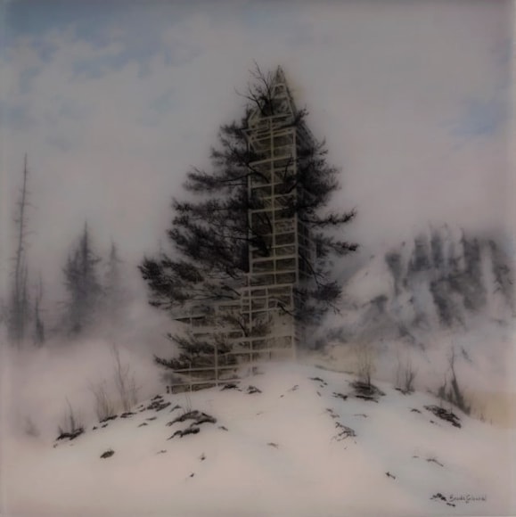 Brooks Shane Salzwedel
