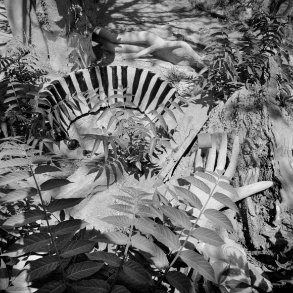 Rosalind Fox Solomon
