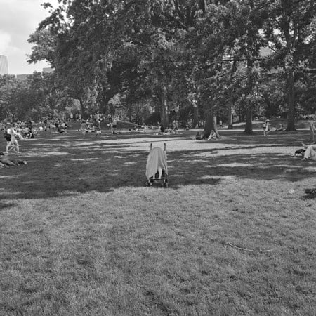 The Park 14, 2013