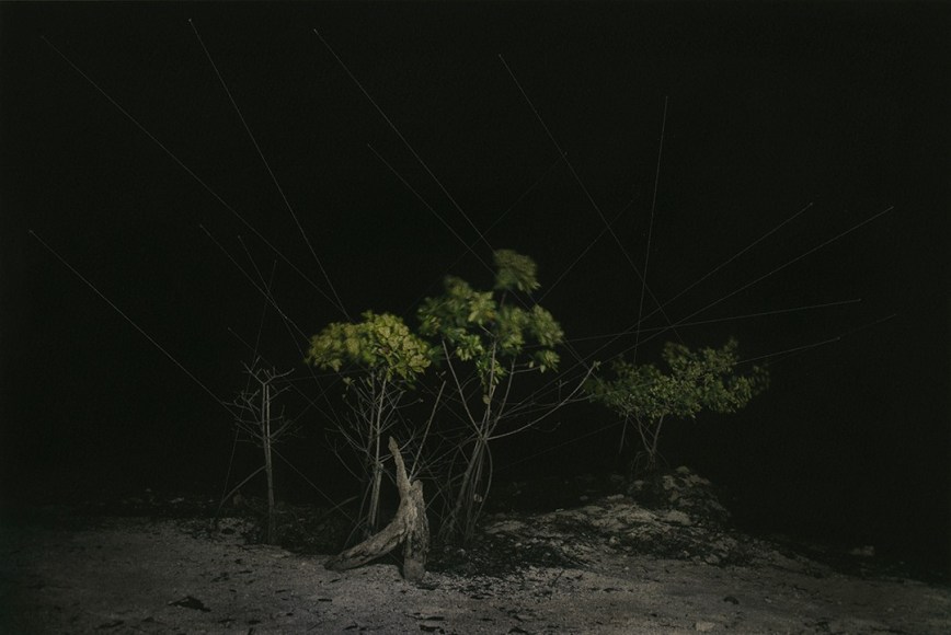 Analog v. Digital, Sharon Lee Hart - &quot;Tribe&quot;, 2017