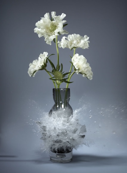 Martin Klimas, Scabiosa, 2015