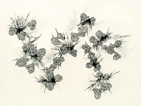 Operable Chambers; Synapse and Sympathies, 3.1, 2008