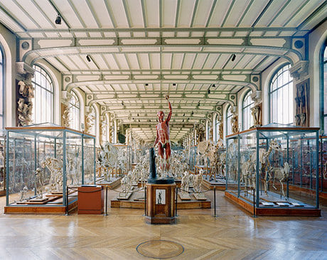 Flayed Man, MCA, Paris, 2005