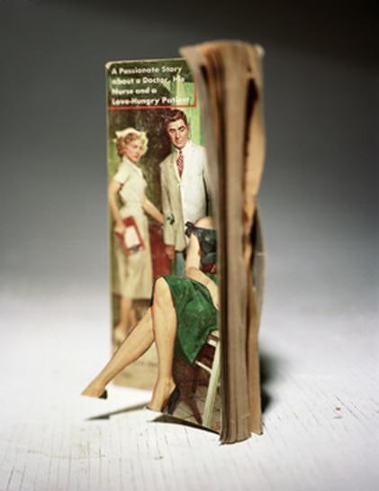 &quot;Reflex,&quot; 2004 20 x 24&quot; Chromogenic Print