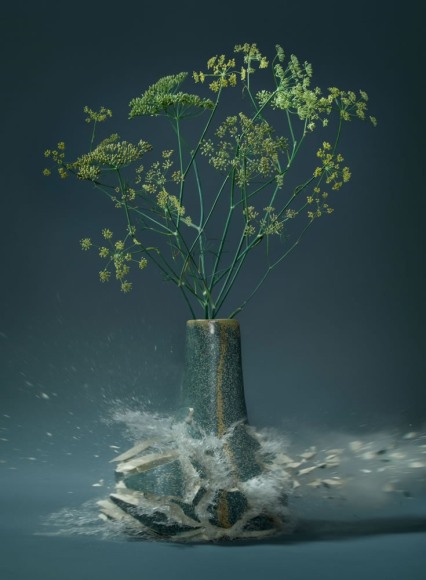 Martin Klimas, Foeniculum, 2015