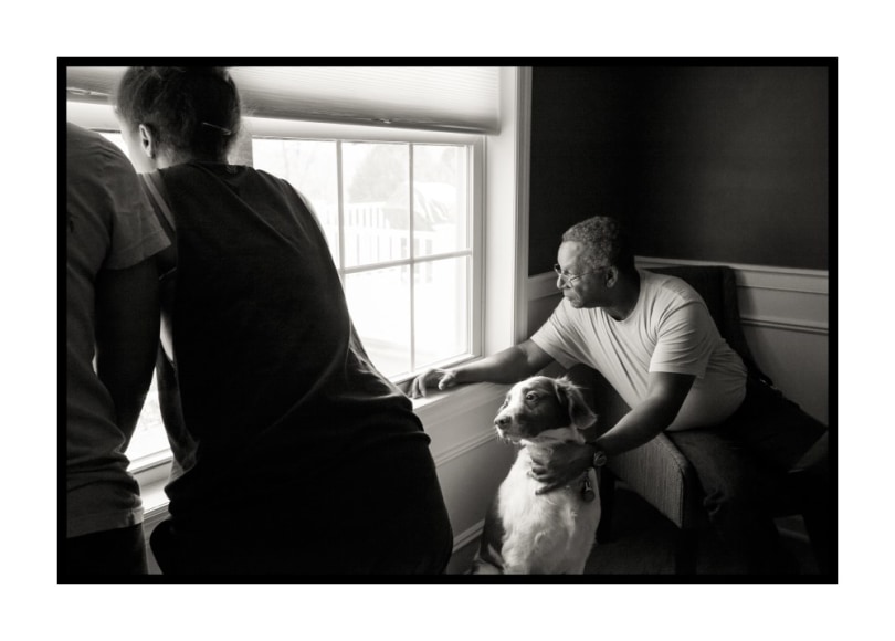 Eva Fazzari, White Meadow Road, 2017