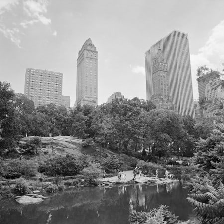 The Park 1, 2012