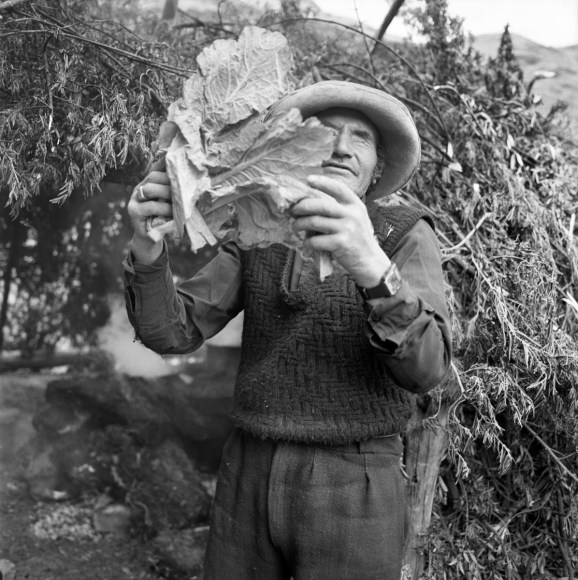 Rosalind Fox Solomon
