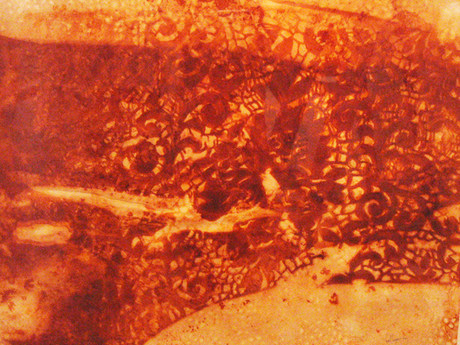 Rust Drawing, 2006