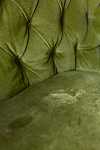 Jo Ann Chaus, Footprint, 2023