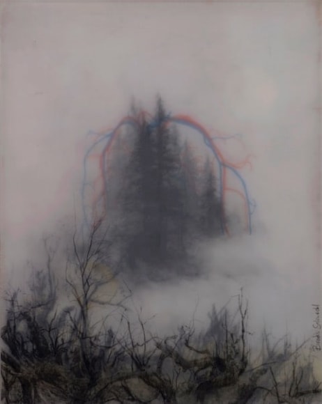 Brooks Shane Salzwedel
