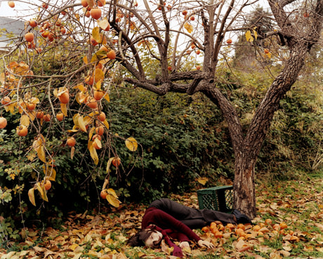 Chapter 11, December, 2003