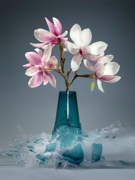 Martin Klimas, Magnolia IV, 2018