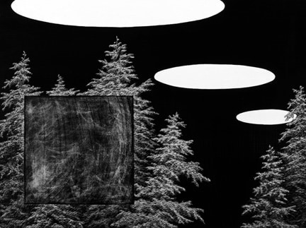 Forest For the Trees, 2011