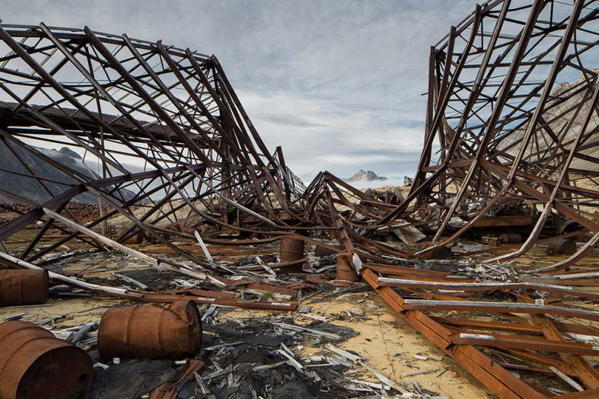 Analog v. Digital, Ken Bower - &quot;American Flowers&quot;, 2017