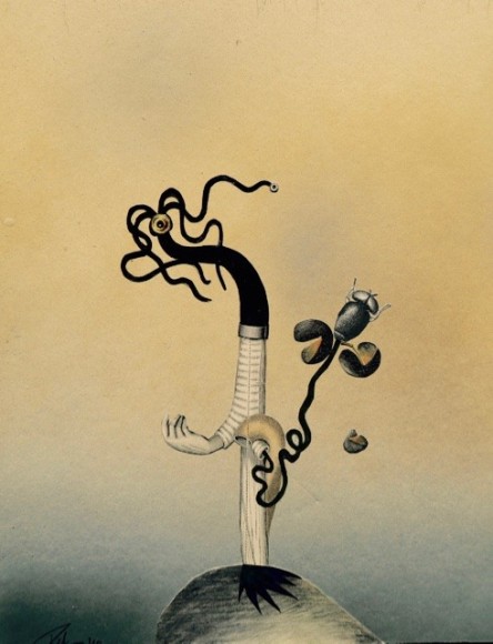 Sherry Parker, Comeback Flower, 2018