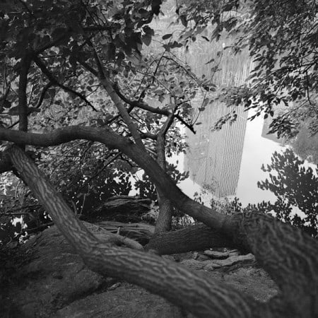 The Park 31, 2009