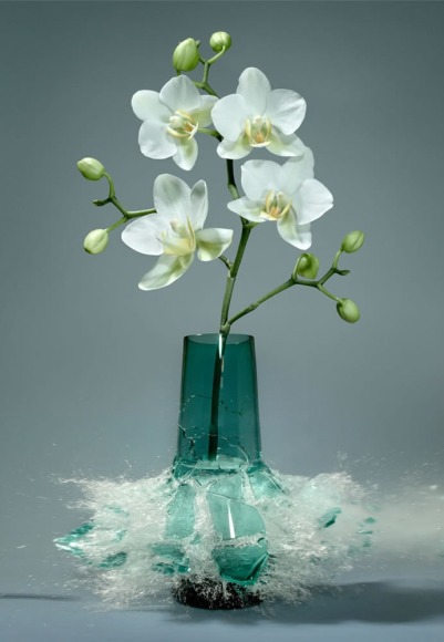 Martin Klimas, Orchidaceae IX, 2016