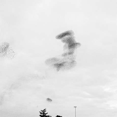 Murmur #9, 2005