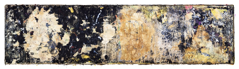 Wyatt Gallery, 50TH C: 13.11.4.13, 2017