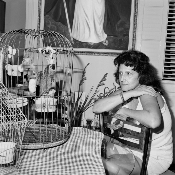 Rosalind Fox Solomon
