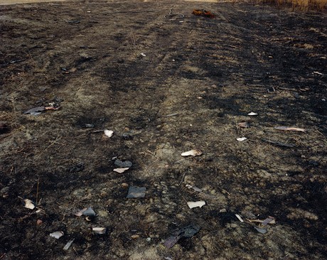 Stalingrad 1942, Mamaev Kurgan V, 2008