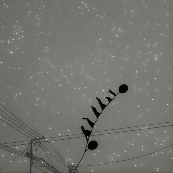 Vanessa Marsh, Landscape #10, 2012