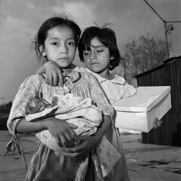 Rosalind Fox Solomon
