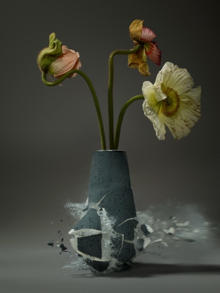 Martin Klimas, Papaver VII, 2016