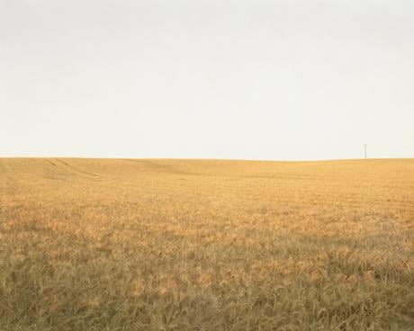 The Hindenburg Line 1918, The Knoll, 2003