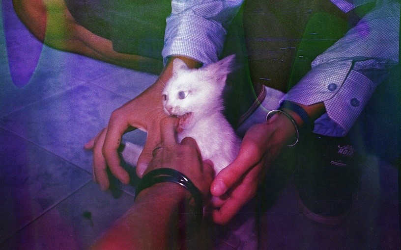 Analog v. Digital, Anna Kalapazana - &quot;#1&quot; (Wine on Film), 2016