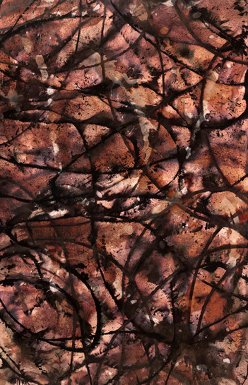 Variation No. 24, 2011